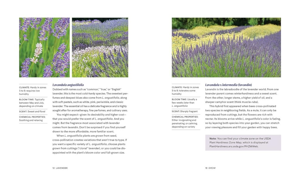 Lavender: 50 Self-Care Recipes and Projects for Natural Wellness     Hardcover – April 27, 2021
