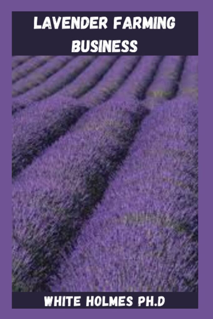 LAVENDER FARMING BUSINESS: Farm Guide To Growing Lavender Plants For Massive Profit And Everything You Need To Know About The Fragrant Plant     Paperback – January 12, 2022