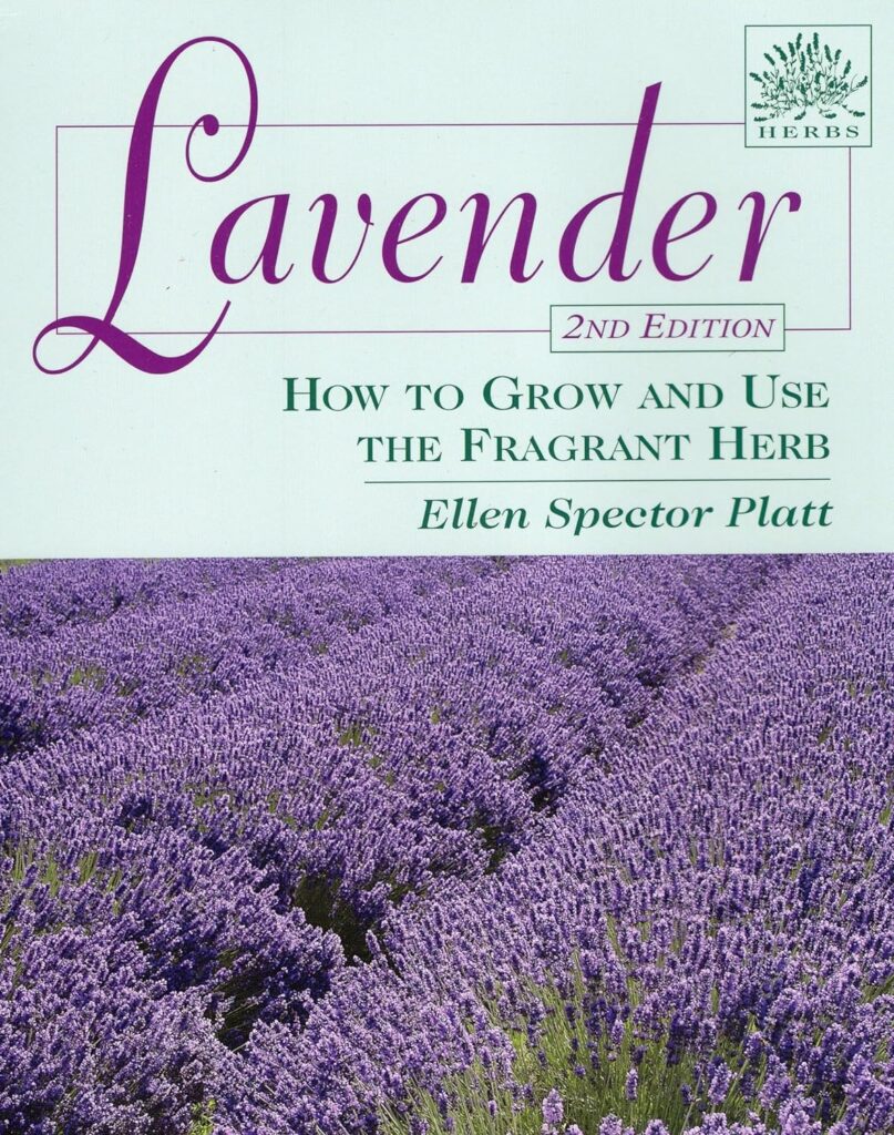 Lavender: How to Grow and Use the Fragrant Herb (Herbs (Stackpole Books))     Paperback – January 5, 2009