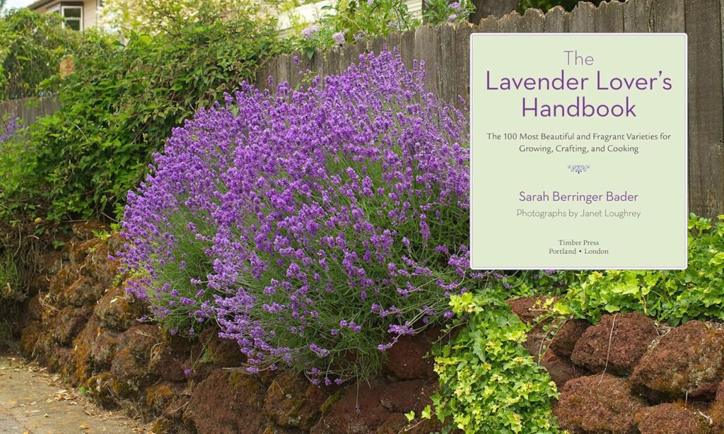 The Lavender Lovers Handbook: The 100 Most Beautiful and Fragrant Varieties for Growing, Crafting, and Cooking     Hardcover – Illustrated, May 1, 2012
